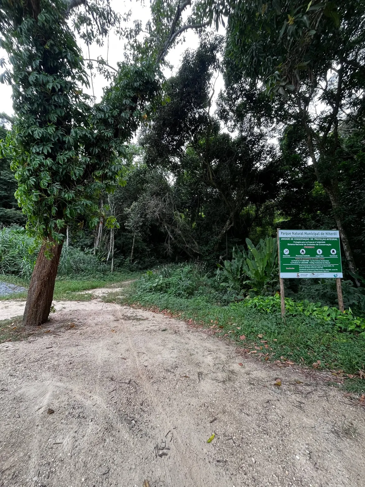 A trilha na mata, a caminho da cachoeira
